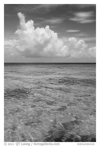 Reef and tropical clouds. Dry Tortugas National Park, Florida, USA.