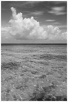 Reef and tropical clouds. Dry Tortugas National Park, Florida, USA. (black and white)