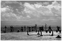 South coaling dock ruins and seabirds, Garden Key. Dry Tortugas National Park, Florida, USA. (black and white)