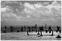 South coaling dock ruins and seabirds, Garden Key. Dry Tortugas National Park ( black and white)