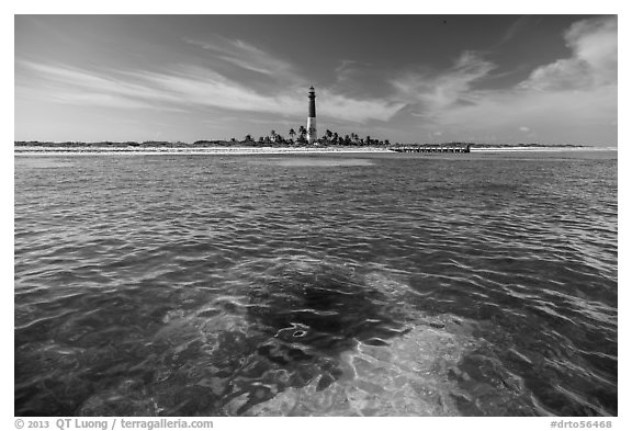 Coral head and Loggerhead Key light. Dry Tortugas National Park, Florida, USA.