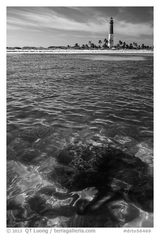Coral head and Loggerhead Key lighthouse. Dry Tortugas National Park (black and white)