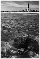 Coral head and Loggerhead Key lighthouse. Dry Tortugas National Park, Florida, USA. (black and white)