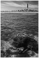 Coral head and Loggerhead Key lighthouse. Dry Tortugas National Park ( black and white)