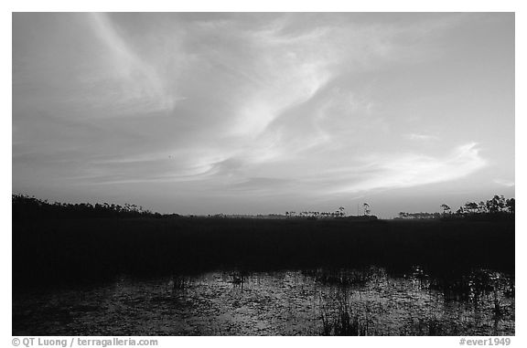 Dawn on marsh and sawgrass prairie. Everglades National Park, Florida, USA.