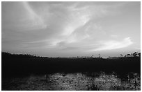 Dawn on marsh and sawgrass prairie. Everglades National Park, Florida, USA. (black and white)