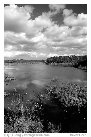 Eco pond, morning. Everglades National Park, Florida, USA.