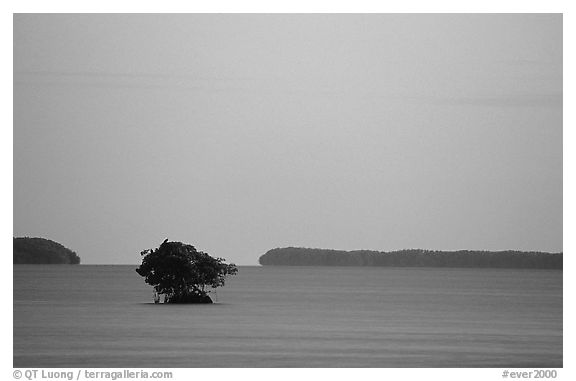 Mangroves and low islands in Florida Bay, dusk. Everglades National Park (black and white)