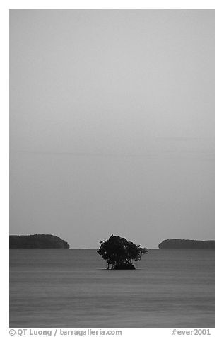 Mangroves trees and low islands in Florida Bay, dusk. Everglades National Park, Florida, USA.