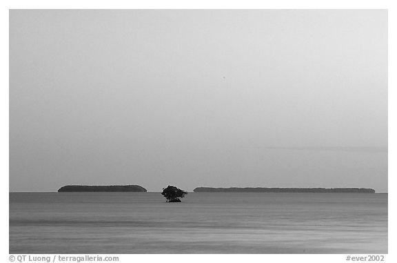 Florida Bay and Mangrove islands, dusk. Everglades National Park, Florida, USA.