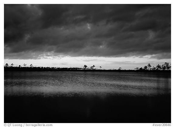 Stormy sunset over Pine Glades Lake. Everglades  National Park (black and white)