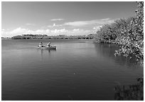 Canoists fishing. Everglades National Park, Florida, USA. (black and white)