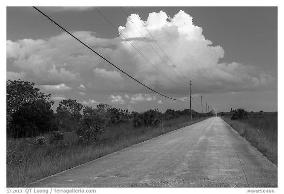 Road and cloud, Chekika. Everglades National Park (black and white)