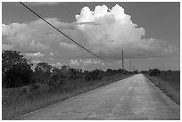 Road and cloud, Chekika. Everglades National Park, Florida, USA. (black and white)