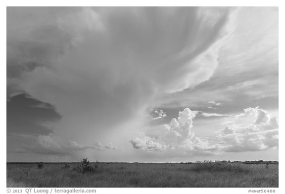 Storm clouds, Chekika. Everglades National Park (black and white)
