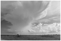 Storm clouds, Chekika. Everglades National Park, Florida, USA. (black and white)