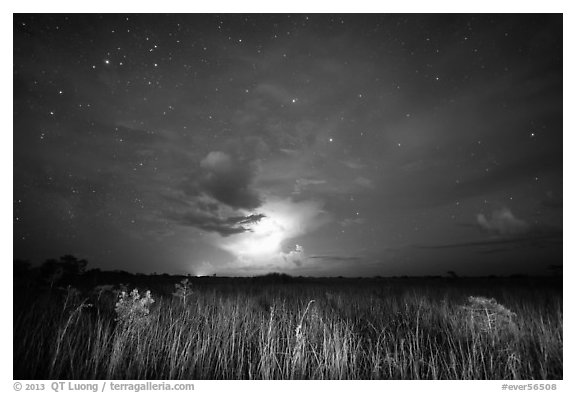 Sawgrass prairie with cloud lit by lightening. Everglades National Park, Florida, USA.