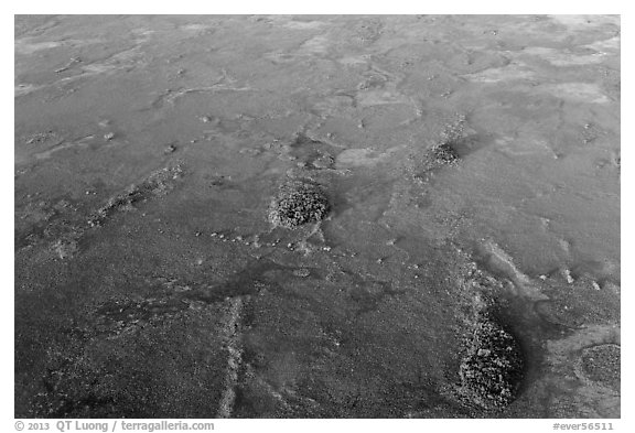 Aerial view of freshwater marl prairie. Everglades National Park (black and white)