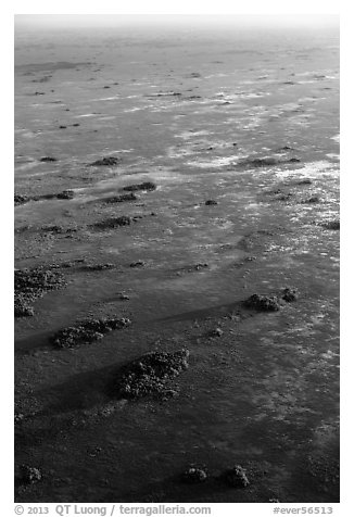 Aerial view of Shark River Slough dotted with hardwood hammocks. Everglades National Park (black and white)