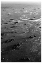 Aerial view of Shark River Slough dotted with hardwood hammocks. Everglades National Park, Florida, USA. (black and white)