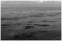 Aerial view of Shark River Slough. Everglades National Park ( black and white)