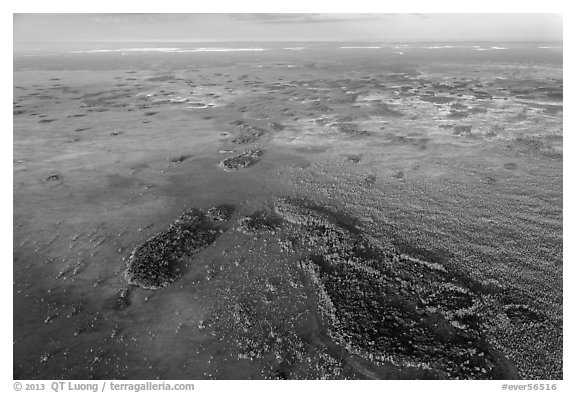 Aerial view of marsh with cypress. Everglades National Park, Florida, USA.