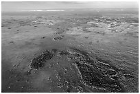 Aerial view of marsh with cypress. Everglades National Park, Florida, USA. (black and white)