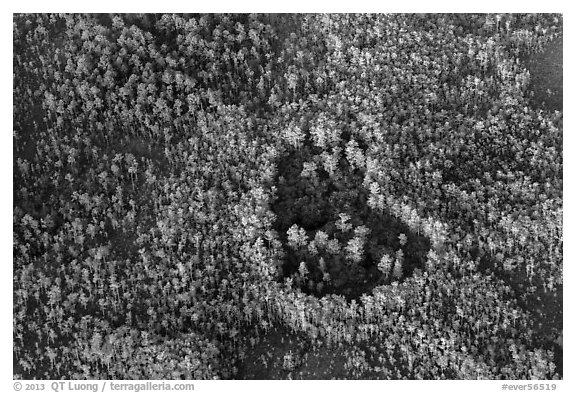 Aerial view of a cypress hole. Everglades National Park (black and white)