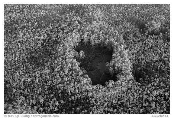 Aerial view of cypress hole. Everglades National Park (black and white)