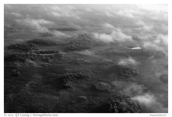 Aerial view of subtropical marsh, trees, and fog. Everglades National Park, Florida, USA.