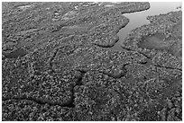 Aerial view of river and lake with chickees. Everglades National Park ( black and white)