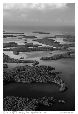 Aerial view of Ten Thousand Islands and coast. Everglades National Park (black and white)