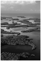 Aerial view of Ten Thousand Islands and coast. Everglades National Park, Florida, USA. (black and white)