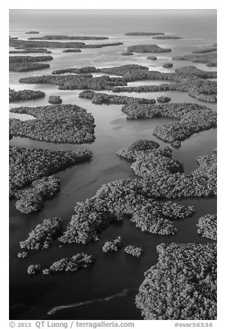 Aerial view of Ten Thousand Islands. Everglades National Park (black and white)
