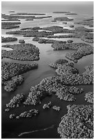 Aerial view of Ten Thousand Islands. Everglades National Park, Florida, USA. (black and white)