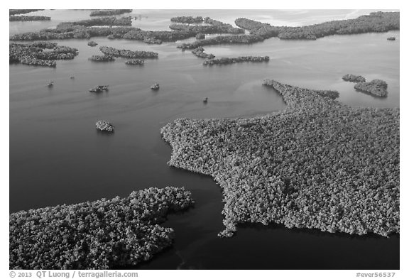 Aerial view of coastal mangrove islands. Everglades National Park, Florida, USA.