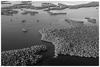 Aerial view of coastal mangrove islands. Everglades National Park ( black and white)