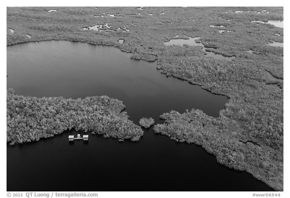 Aerial view of lake with elevated camping platforms (chickees). Everglades National Park (black and white)
