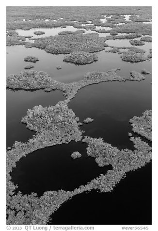 Aerial view of mosaic of lakes and and vegetation. Everglades National Park (black and white)