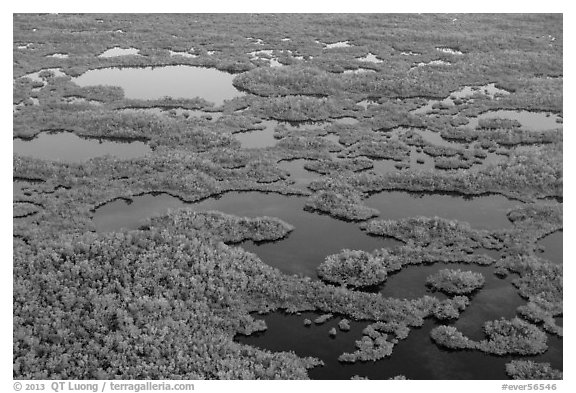 Aerial view of lakes, mangroves and cypress. Everglades National Park (black and white)