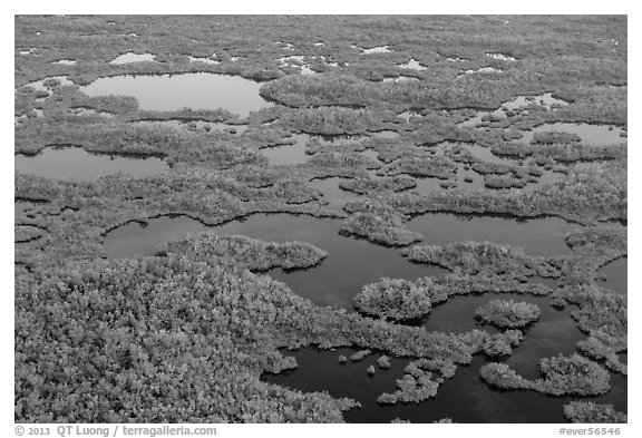 Aerial view of lakes, mangroves and cypress. Everglades National Park, Florida, USA.