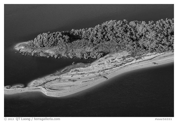 Aerial view of beach with alligators. Everglades National Park (black and white)