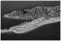 Aerial view of beach with alligators. Everglades National Park ( black and white)