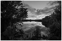 Paurotis Pond at sunset. Everglades National Park ( black and white)