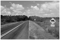 Road with Florida Panther sign. Everglades National Park, Florida, USA. (black and white)