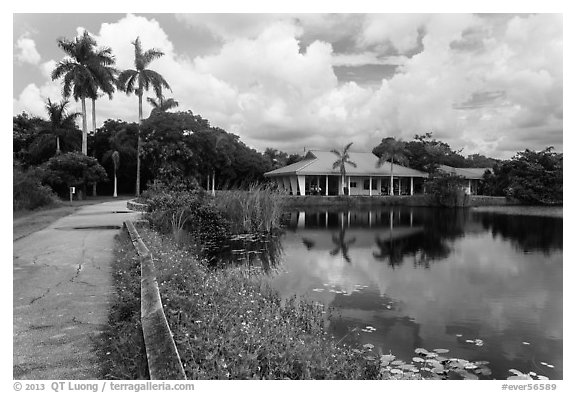 Anhinga Trail, Royal Palms Visitor Center. Everglades National Park (black and white)