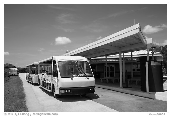 Tram and visitor center, Shark Valley. Everglades National Park (black and white)