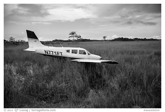 Crashed plane in marsh, Shark Valley. Everglades National Park (black and white)