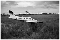 Crashed plane in marsh, Shark Valley. Everglades National Park ( black and white)