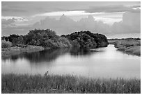 Pond, sawgrass prairie, and hammock, Shark Valley. Everglades National Park ( black and white)